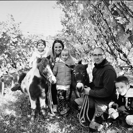 Agritur Maso Librar *