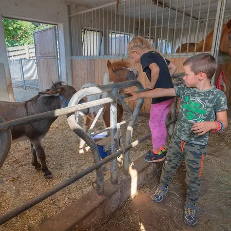 Agritur Maso Librar Farm stay