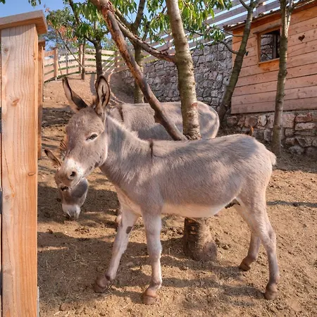 Agritur Maso Librar Farm stay