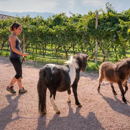 Agritur Maso Librar * Trento